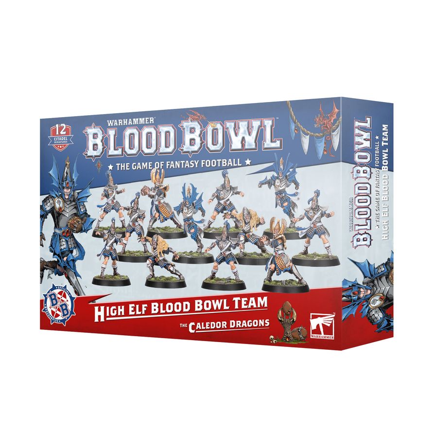 High Elf Blood Bowl Team - The Calder Dragons